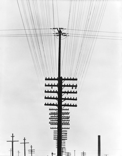 Telegraph Wires, Mexico by Tina Modotti